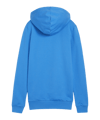 PUMA teamGOAL Casuals Hoody Damen Blau F02 - blau