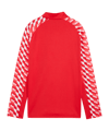 PUMA teamLIGA26 Training 1/4 Zip Top Kids Rot F01 - rot
