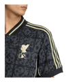 adidas FC Liverpool Lfstlr Trikot Grau - grau