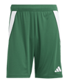adidas Tiro 24 Short Grün Weiss