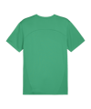 PUMA teamFINAL Trikot Grün F05 - gruen