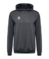 Hummel AUTHENTIC PL Hoody Grau F1525 - grau