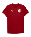 PUMA Galatasaray Istanbul Evostripe T-Shirt Rot F01 - rot