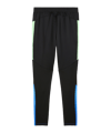 PUMA individualFINAL Trainingshose Schwarz F02 - schwarz
