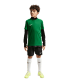 Nike Park VIII Trikot Kids Grün F302