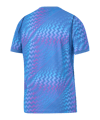 Nike TFF Türkei Torwarttrikot WM 2026 Blau F427 - blau