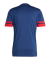 adidas Squadra 25 Trikot Blau - blau