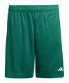 adidas Entrada 26 Short Kids Grün - gruen