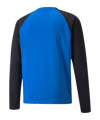 PUMA teamLIGA Trainig Sweatshirt Blau F02 - blau