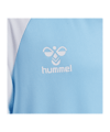 Hummel Match League Trikot Kids Blau F7473 - blau