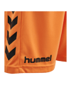 Hummel Core GK Torwarttrikotset Orange F5006 - orange