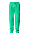 The North Face Essentials Jogginghose Grün - gruen