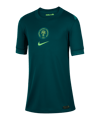 Nike Nigeria Trikot Home 2025/2026 Kids Grün F483 - gruen