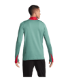 Nike FC Liverpool Drill Top Grün F362 - gruen