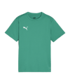 PUMA teamGOAL Trikot Kids Grün F05