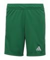 adidas Tiro 23 Short Kids Dunkelgrün Weiss - gruen