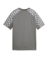 PUMA teamLIGA26 Trikot Kids Grau F13 - grau