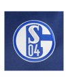 adidas FC Schalke 04 Team Hoody Blau - blau