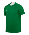 Nike Team Court Trikot Grün F302