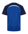 Hummel Trikot Kids Blau F8607 - blau