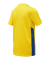 Nike Park Derby IV Trikot Kids Gelb Blau F720 - gelb