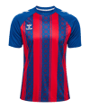 hummel Match Striped Trikot Blau F7358 - blau