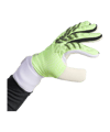 adidas Predator Competition Torwarthandschuhe Grün - gruen