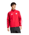 adidas FC Bayern München Anthem Jacke Rot - rot