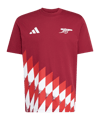 adidas FC Arsenal London Graphic T-Shirt Rot - rot