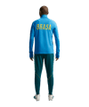 Nike CBF Brasilien Trainingshose Grün F381 - gruen