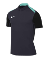 Nike Academy Pro 24 Poloshirt Blau Schwarz F453