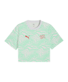 PUMA SFV Schweiz FtblCulture T-Shirt Grün F19 - gruen