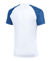Nike Academy II Trikot Weiß F103