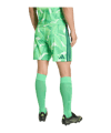 adidas Tiro 26 Torwartshort Grün - gruen