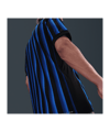 Nike Inter Mailand Authentic Trikot Home 2025/2026 Blau F439 - blau