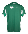 PUMA FC St. Gallen 1879 Frauenteam Trikot Home 2025/2026 Kids Grün F01 - gruen