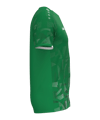 JAKO Sonic Trikot Kids Grün F261 - gruen