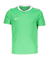 Nike Academy Pro 24 Trainingsshirt Kids Grün F329