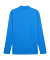 PUMA teamFINAL26 Training 1/4 Zip Top Blau F02 - blau