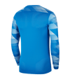 Nike Park IV TW-Trikot kurzarm Blau F463 - blau