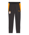 PUMA Galatasaray Istanbul pockets Trainingshose Grau F06 - grau