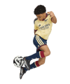 adidas FC Arsenal London Trikot 3rd 2026/2027 Kids Gelb - gelb