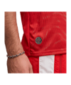 PUMA SFV Schweiz Replica Trikot Home WM 2026 Rot F01 - rot