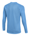 Nike Park VIII Trikot langarm Kids Blau F412 - blau