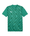 PUMA teamGLORY Trikot Grün Weiss Grün F05
