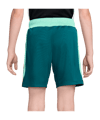 Nike CBF Brasilien Academy Pro Short Kids Grün F381 - gruen