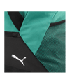 PUMA teamGoal Sporttasche Gr. L Grün F04 - gruen