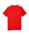 PUMA SFV Schweiz King T-Shirt Rot F05 - rot