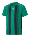 PUMA teamLIGA Striped Trikot Kids Grün Schwarz F05