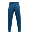 Under Armour Hose Blau F426